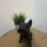 Pura Vida Apartamento *
