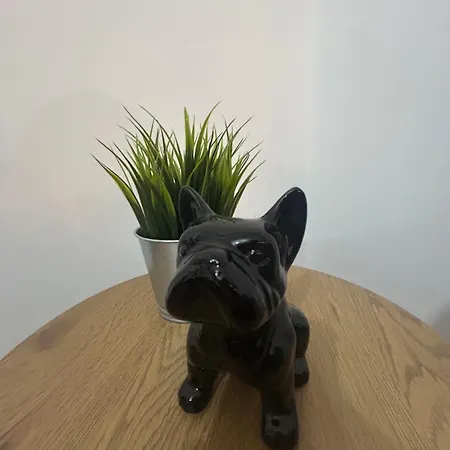 Pura Vida Apartamento *