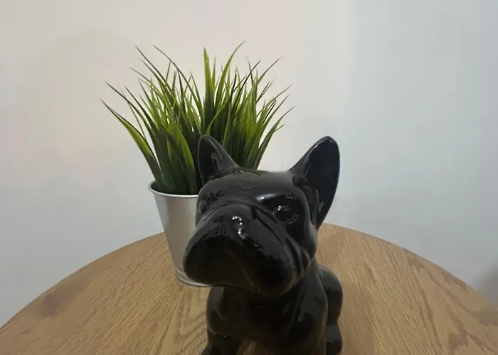 Pura Vida דירה *